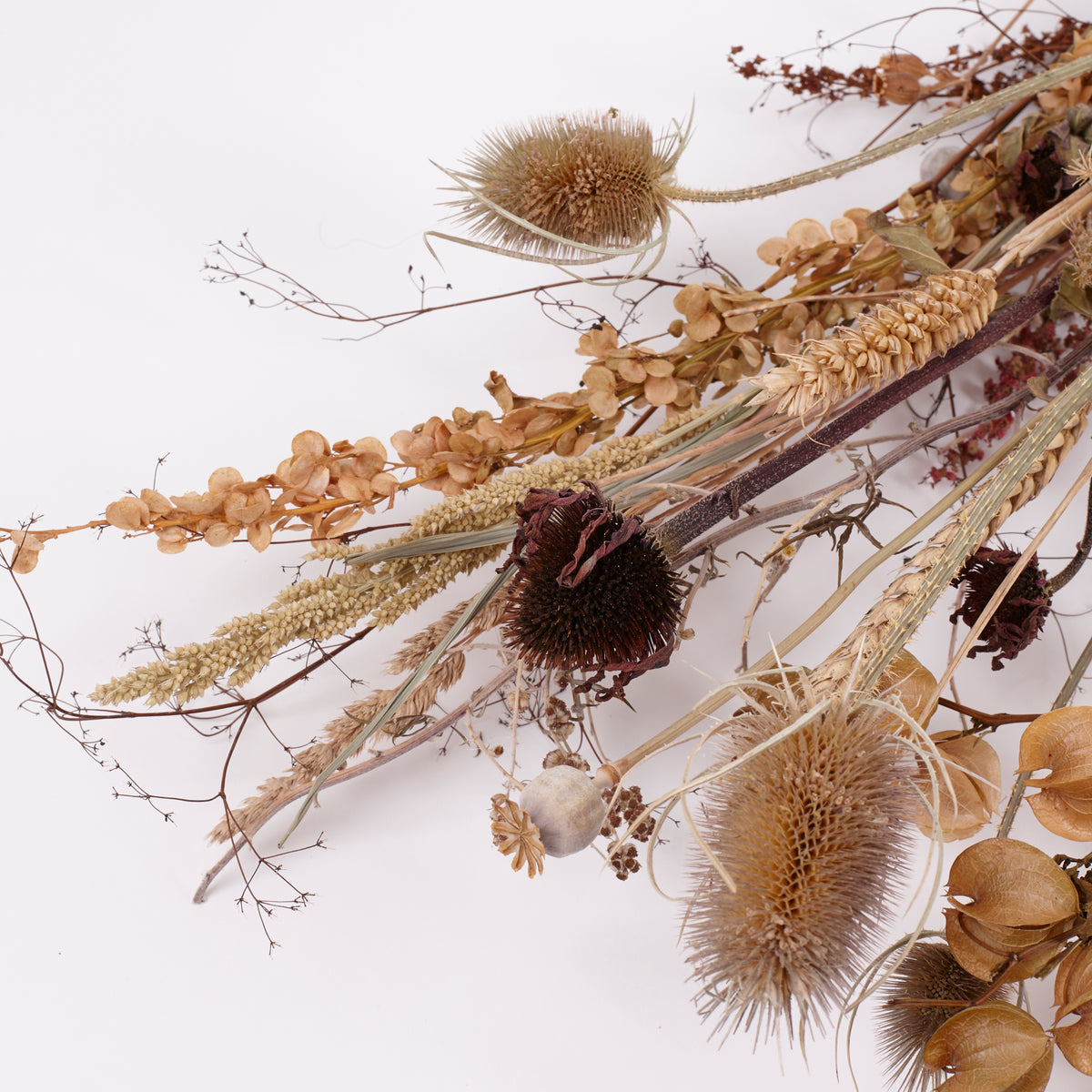 Autumn Mixed Bunch, British, Natural & Dried