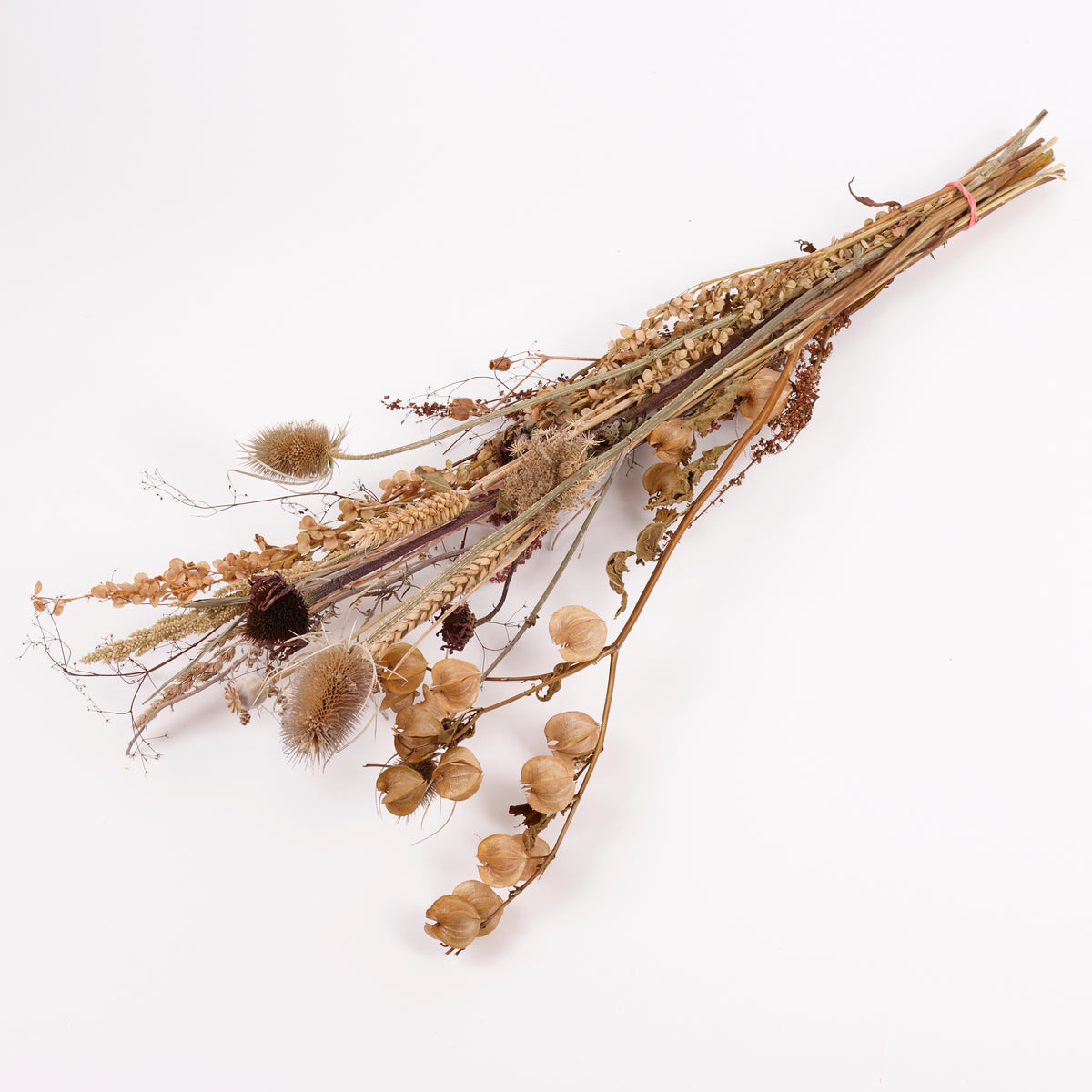 Autumn Mixed Bunch, British, Natural & Dried