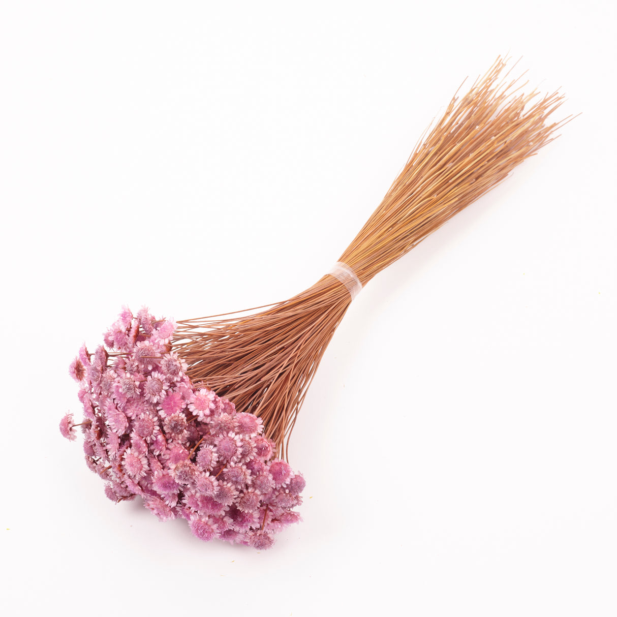Glixia marqueritte, Dried, Lavender, 50g Bunch