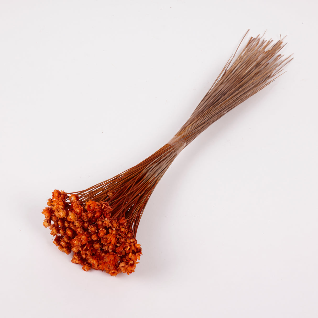 Glixia Giant, Dried, Orange, 50g Bunch