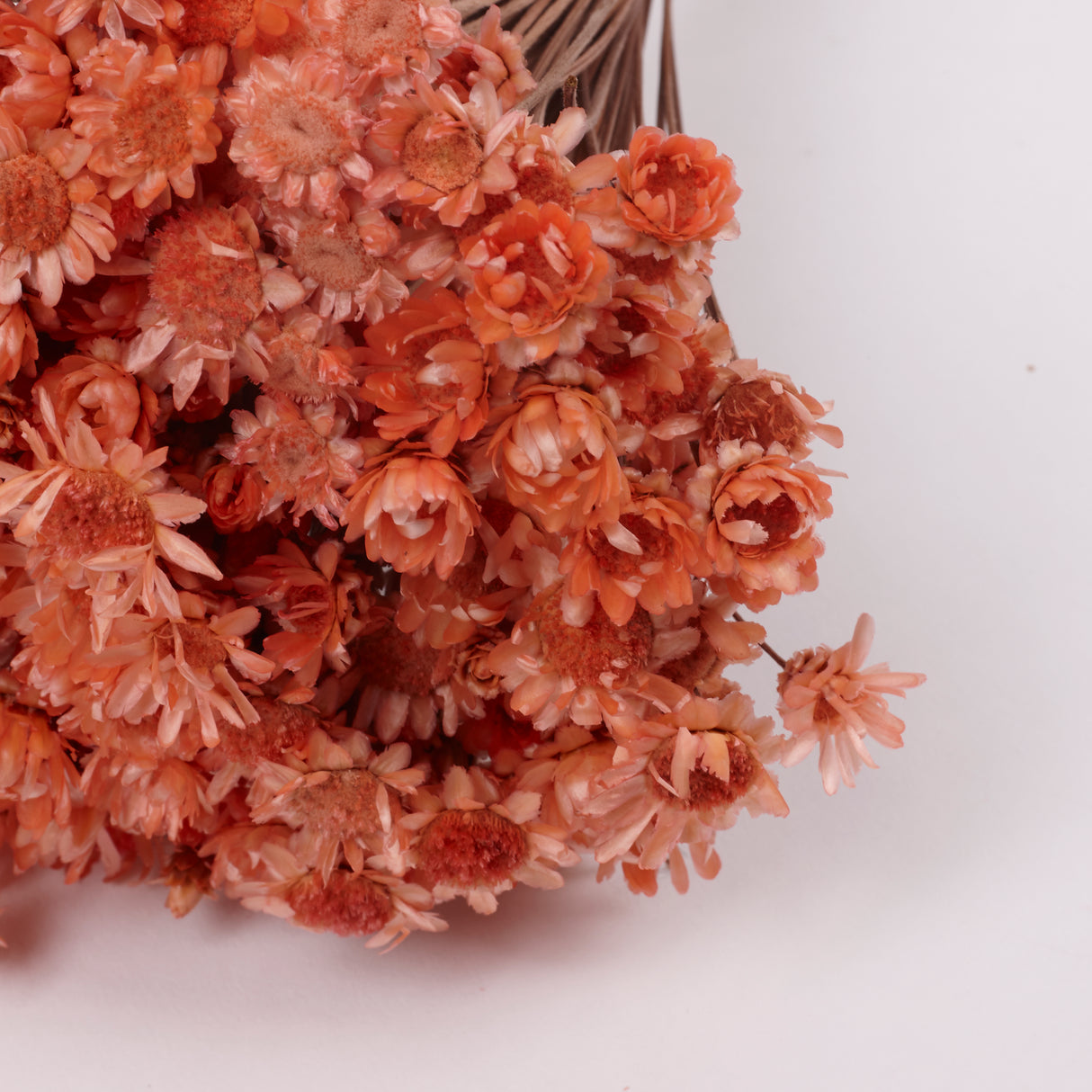 Glixia Giant, Dried, Peach, 50g Bunch