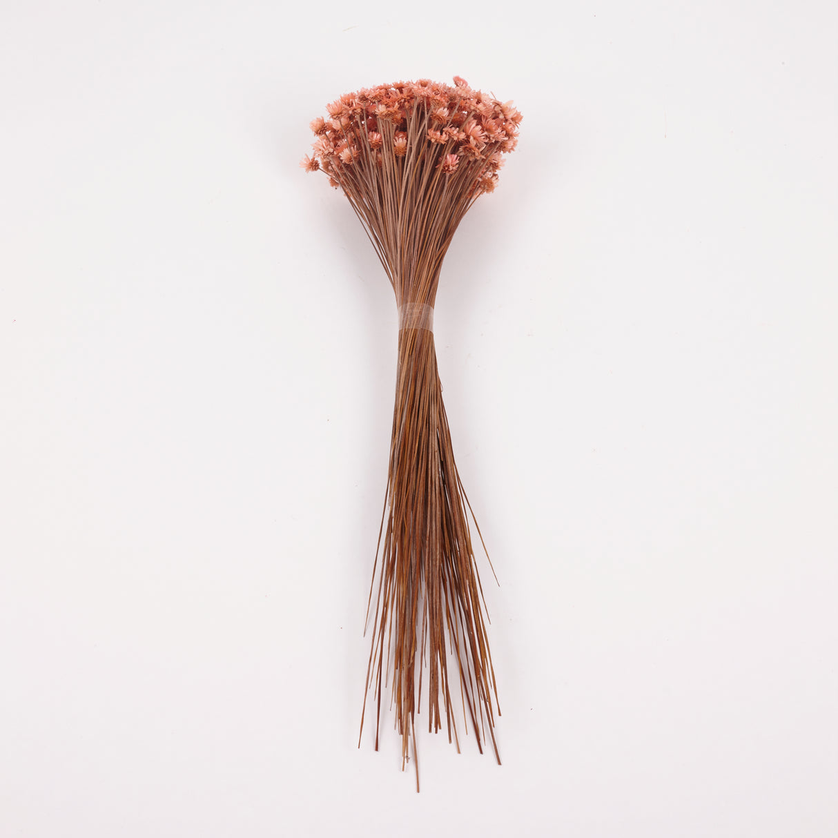 Glixia Giant, Dried, Peach, 50g Bunch