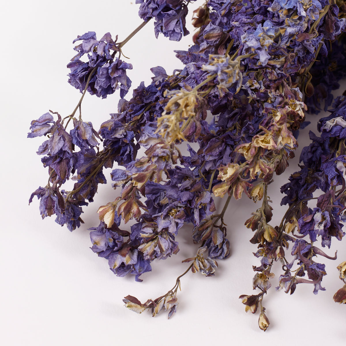 Delphinium Flowers, Dried, Natural Lavender Blue