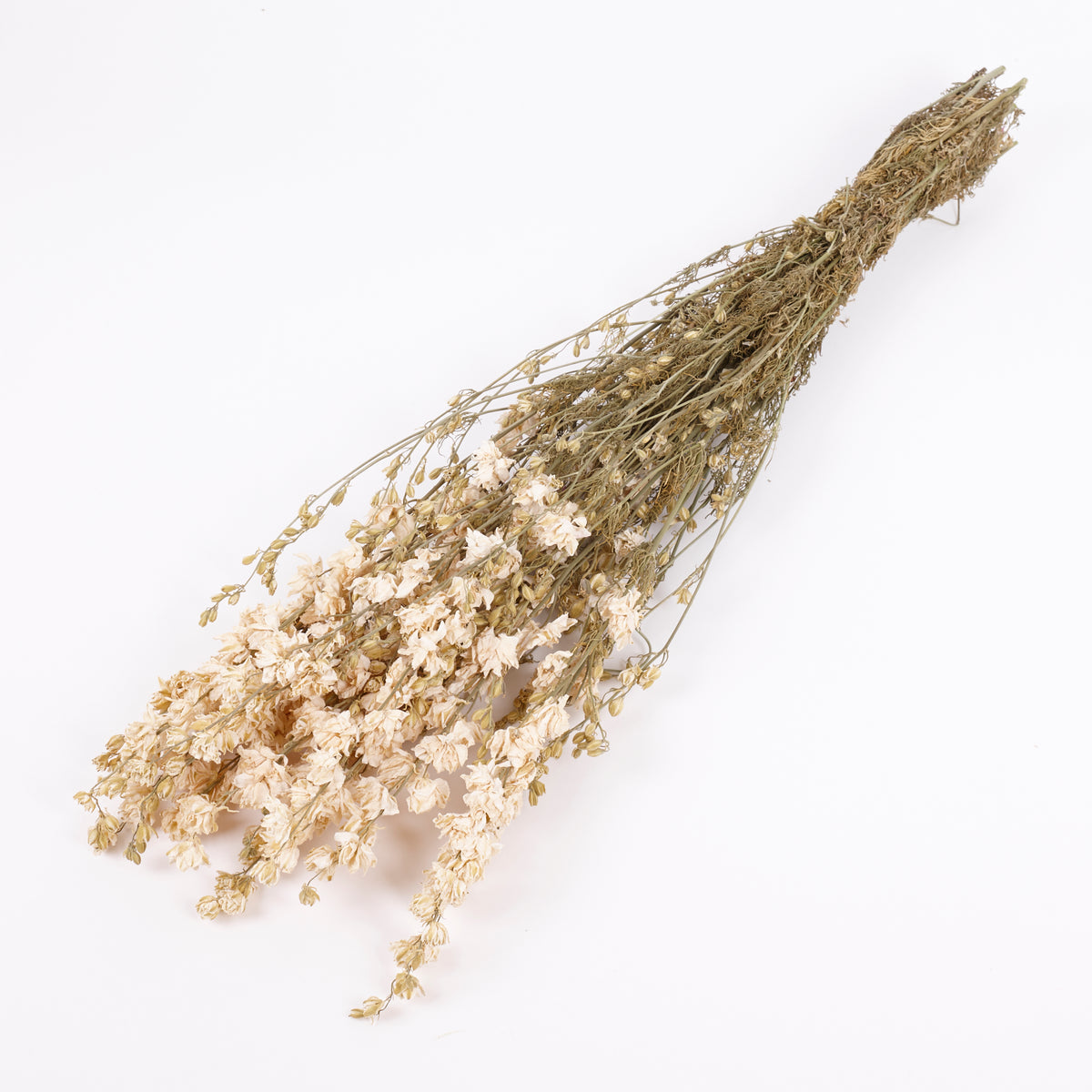 Delphinium Flowers, Dried, Natural White