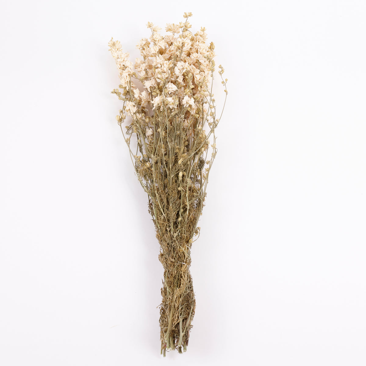 Delphinium Flowers, Dried, Natural White