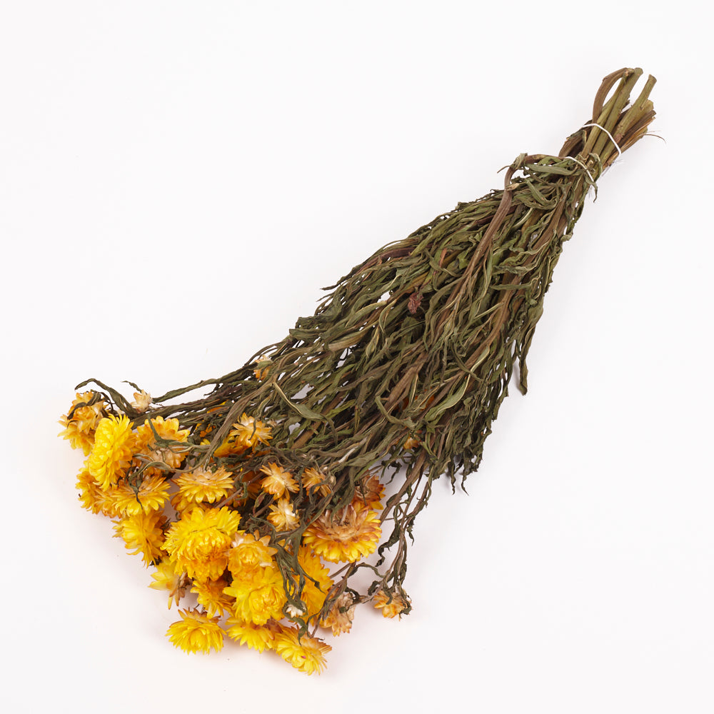 Helichrysum, Dried, Natural Yellow, Bunch