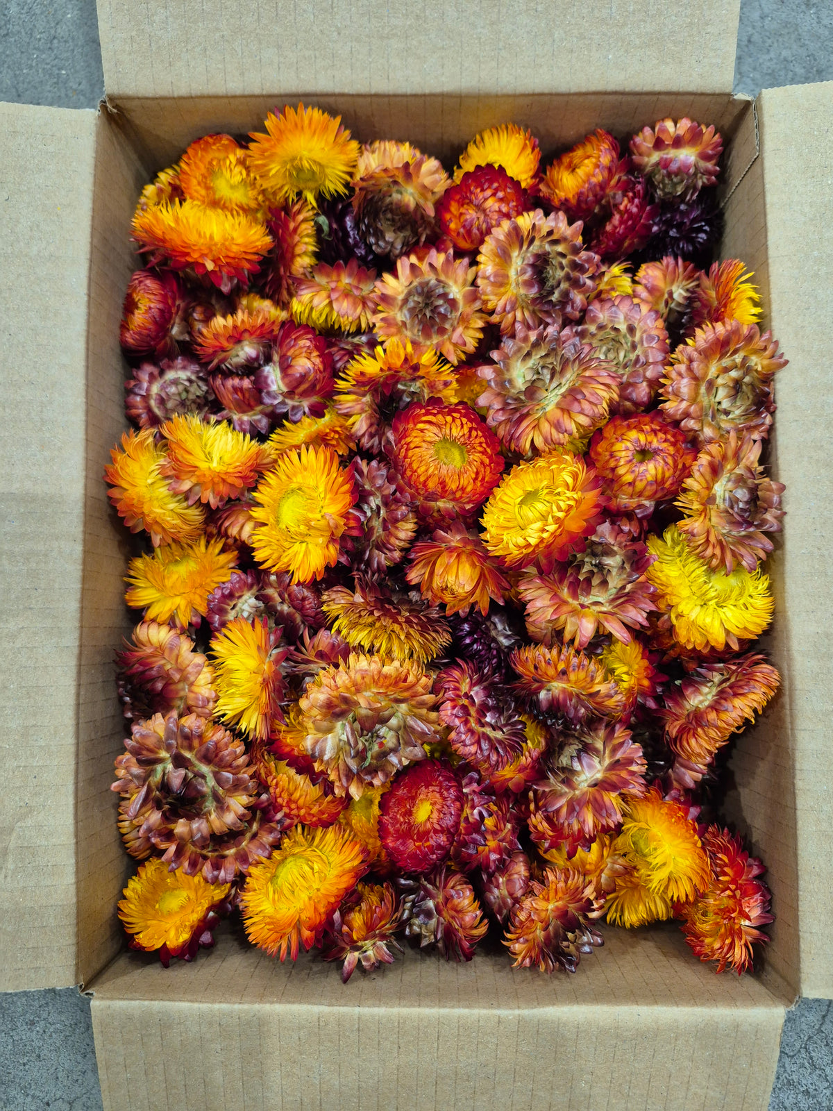Helichrysum Heads, Dried, Natural Orange, 200g