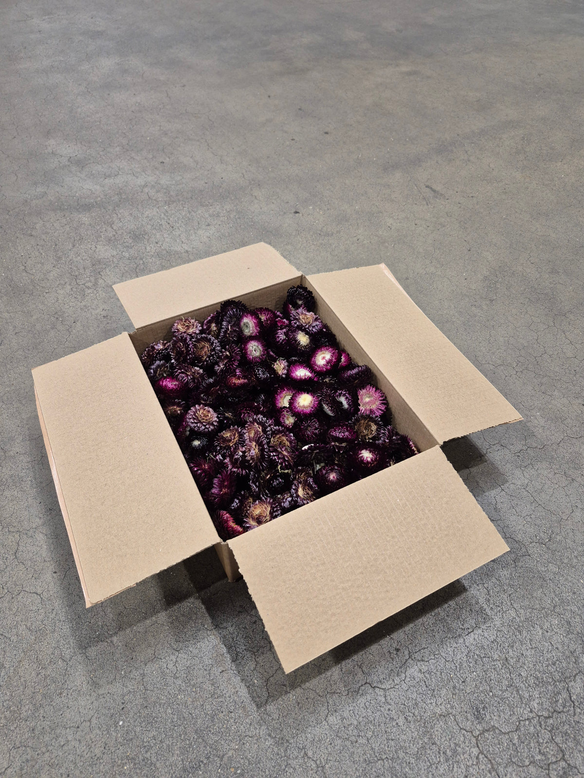 Helichrysum Heads, Dried, Natural Dark Purple, 200g