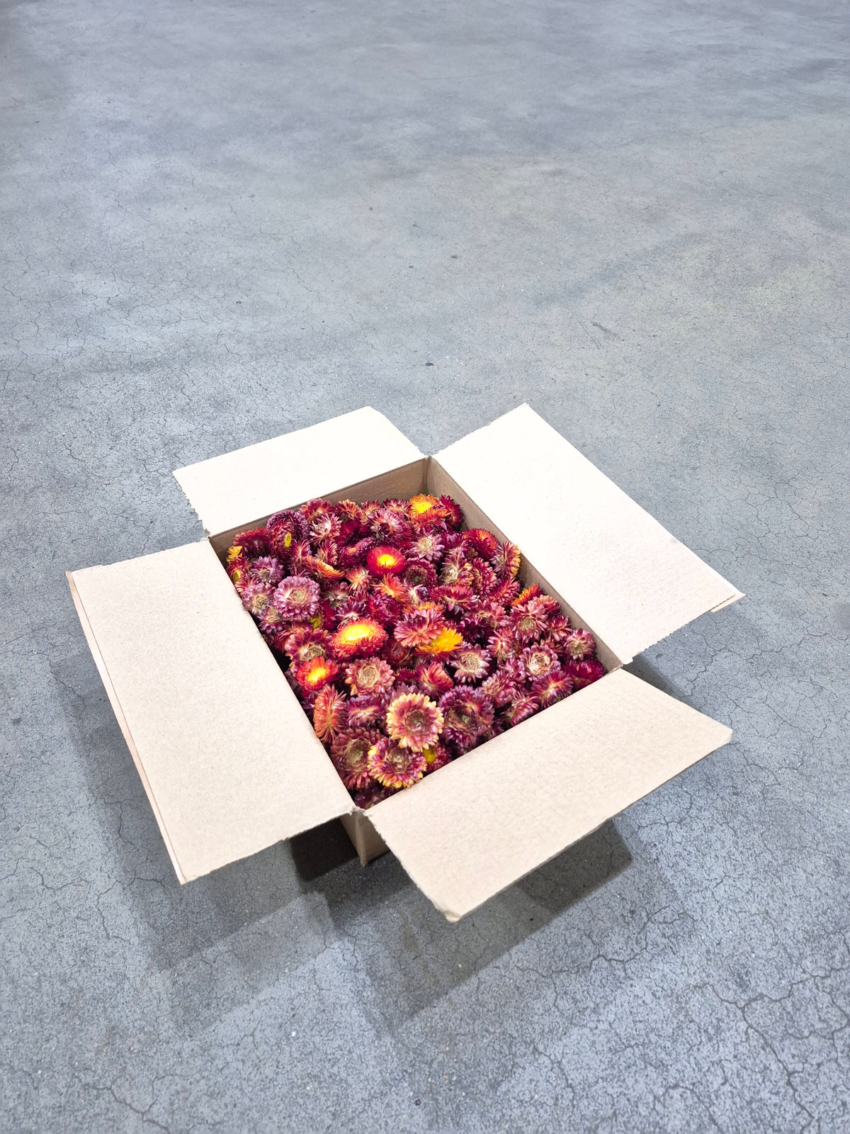 Helichrysum Heads, Dried, Natural Red/Orange, 200g