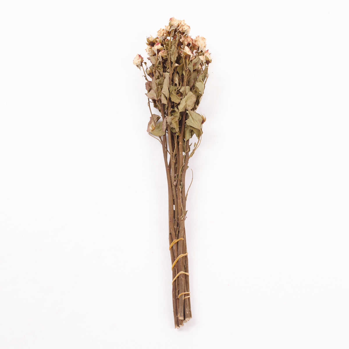 Roses, Spray, Dried, Natural Light Pink, x 8 stems