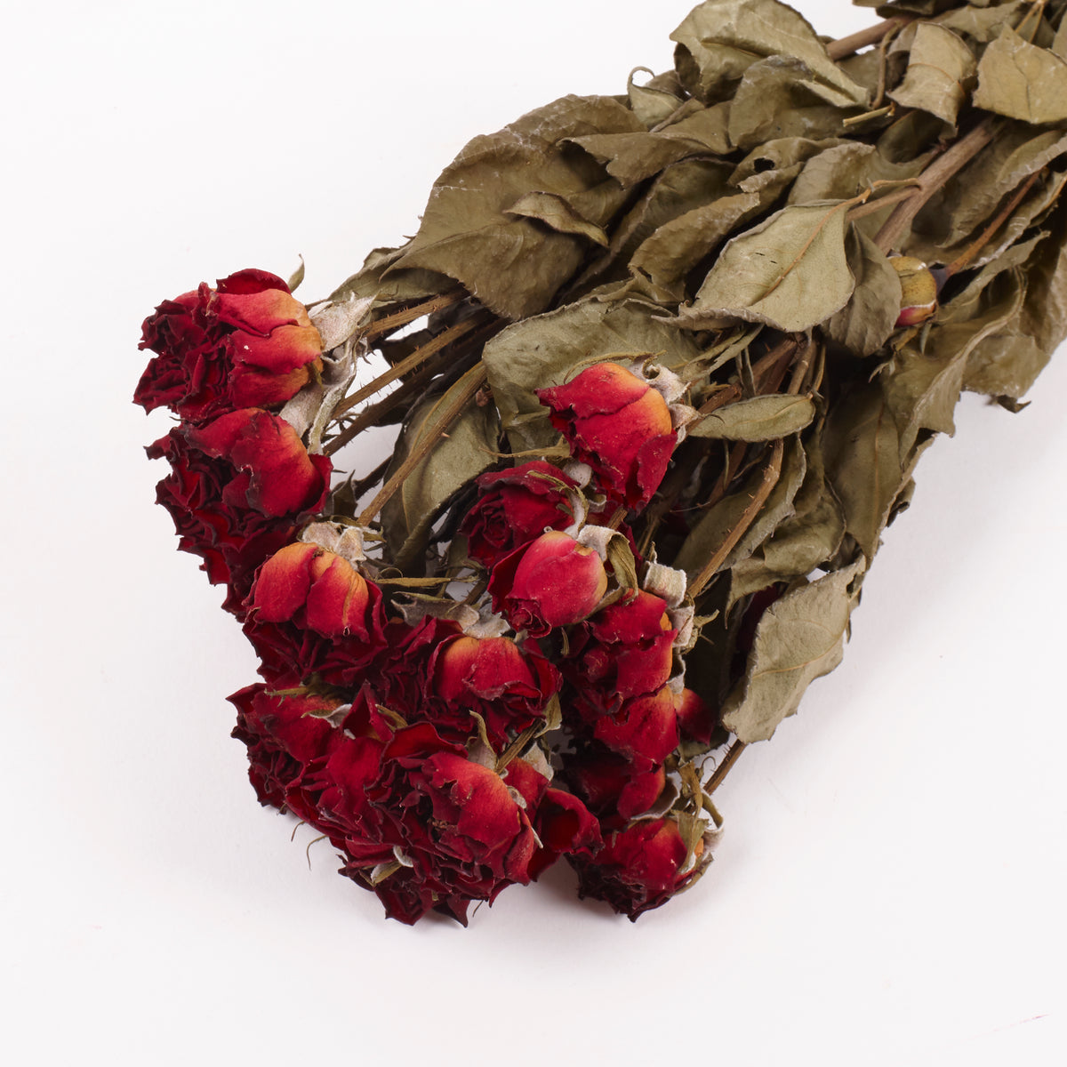 Roses, Spray, Dried, Natural Red, x 8 stems