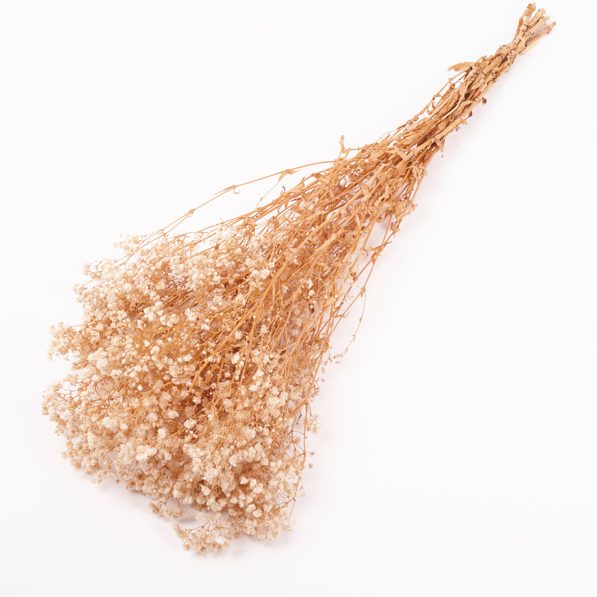 Gypsophila, Preserved, White, 100g