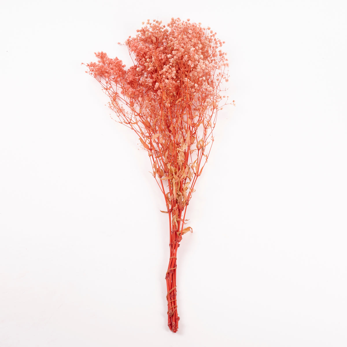 Gypsophila, Preserved, Pale Pink, 100g