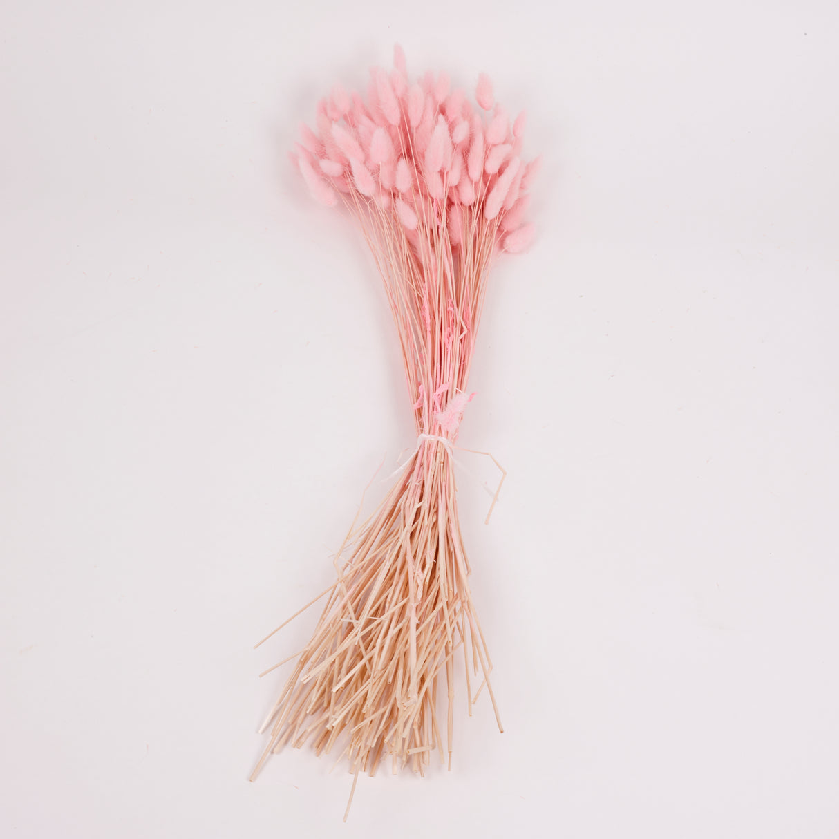 Lagurus ovatus, (Bunny Tails), Dried, Pale Pink, 100g