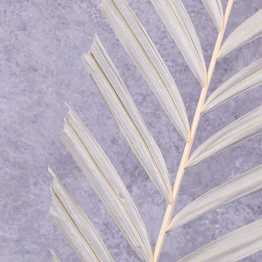 Palm Stem, White, 118x28cm, Artificial
