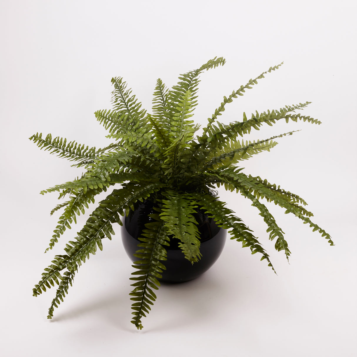 Boston or Nephrolepis Fern Plant, Artificial, diameter 90cm, UV