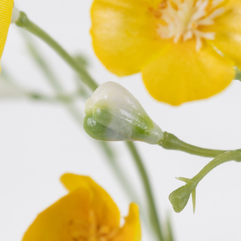 Meadow Buttercup, Yellow, 68cm