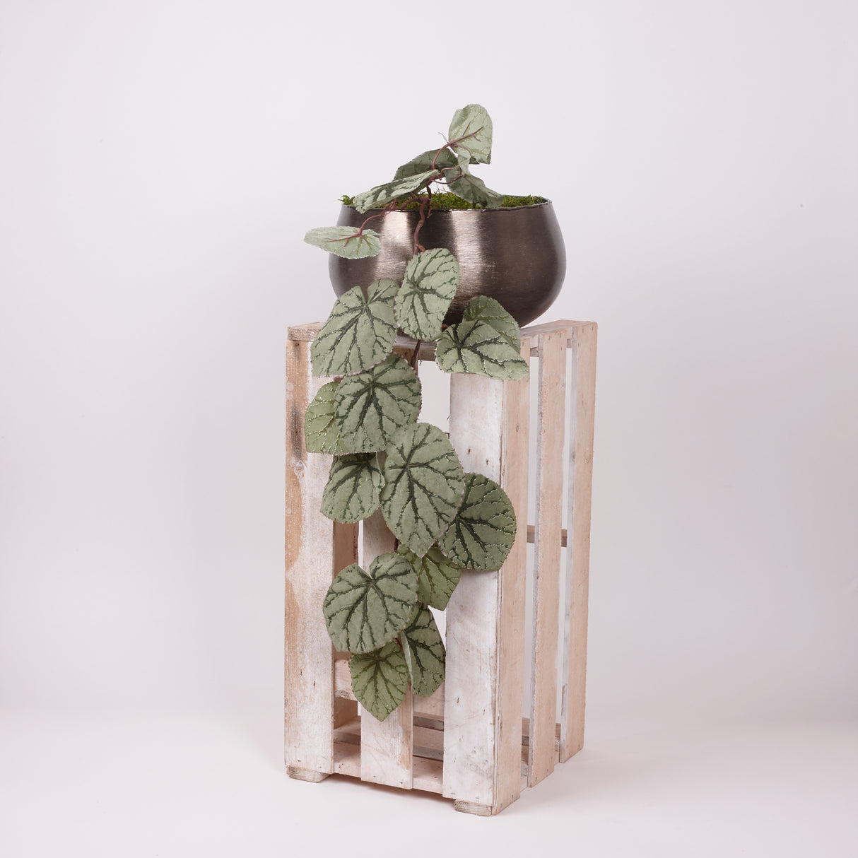 Begonia Rex, Hanging Plant, Artificial, Green, 111cm