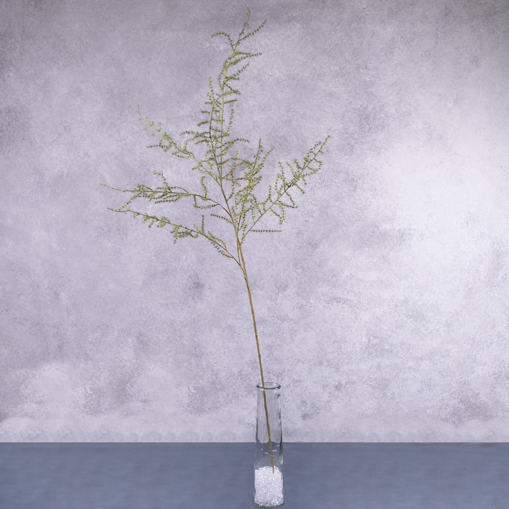 An artificial asparagus fern displayed in a clear glass vase
