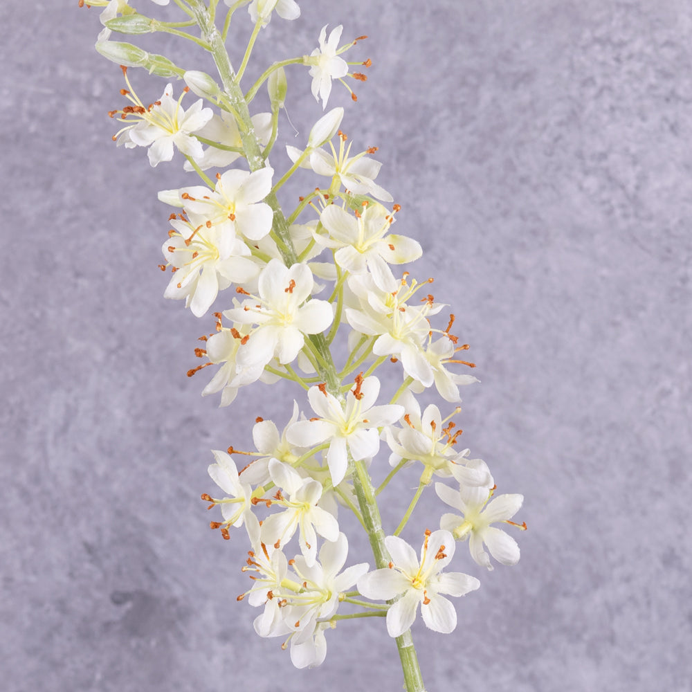 Faux Eremurus, Foxtail Lily, White, 106cm