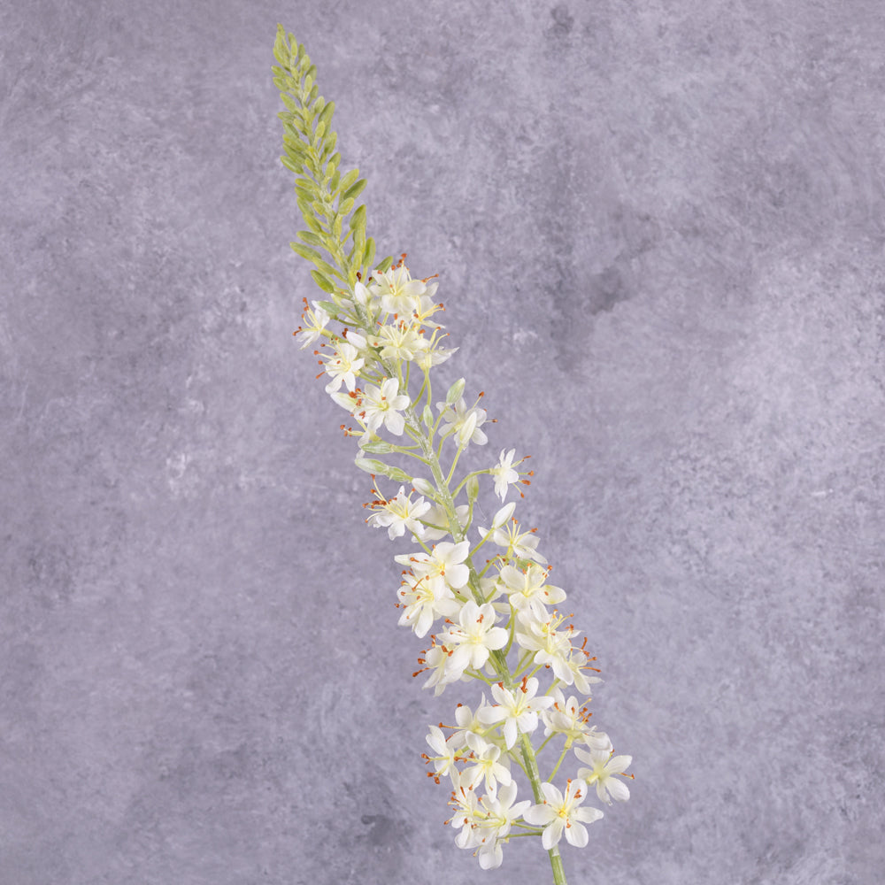 Faux Eremurus, Foxtail Lily, White, 106cm