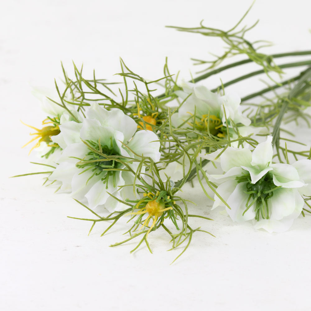Nigella Spray, White and Green, 66cm