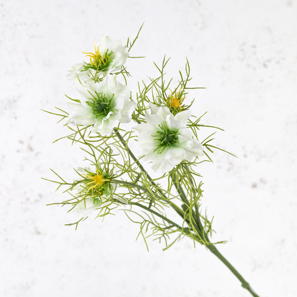 Nigella Spray, White and Green, 66cm
