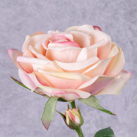 Rose deluxe, Fleurie, creamy pink, 70cm, Faux