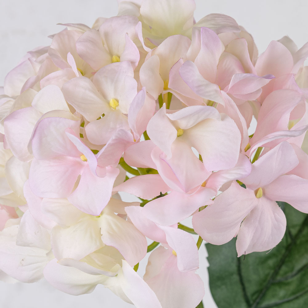 Hydrangea Imperial, White/Pink, 68cm