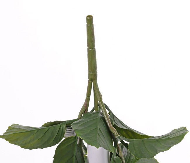 Hydrangea Plant, Artificial, Cream, 43cm, UV
