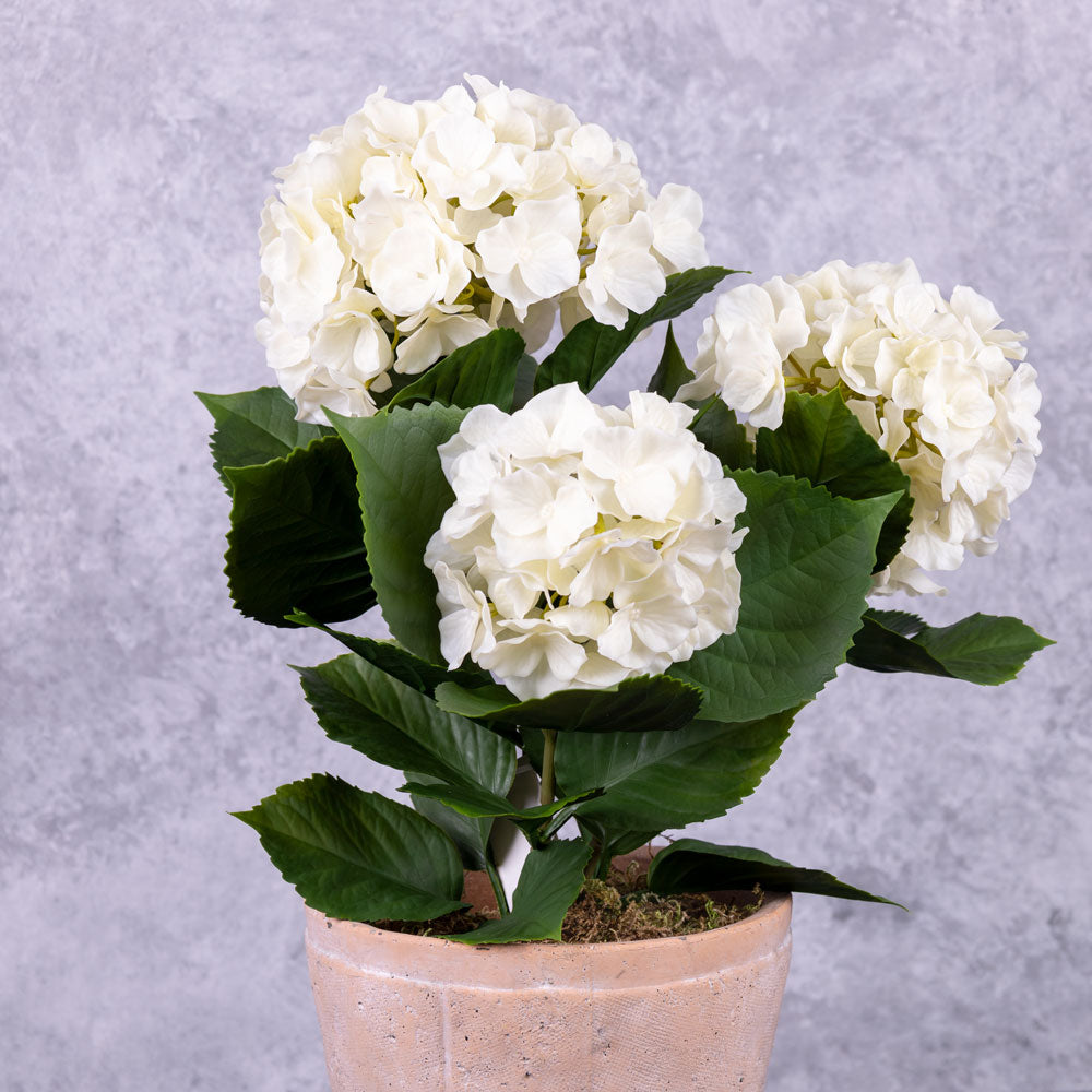 Hydrangea Plant, Cream, 43cm, Faux, UV
