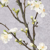 Blossom - Quince, Cream, 86cm