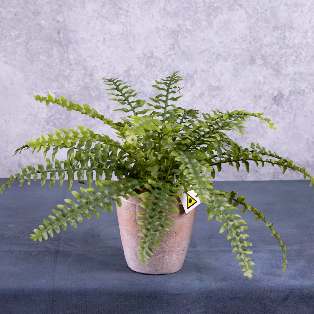 An artificial Boston, or sword, fern in a terracotta pot