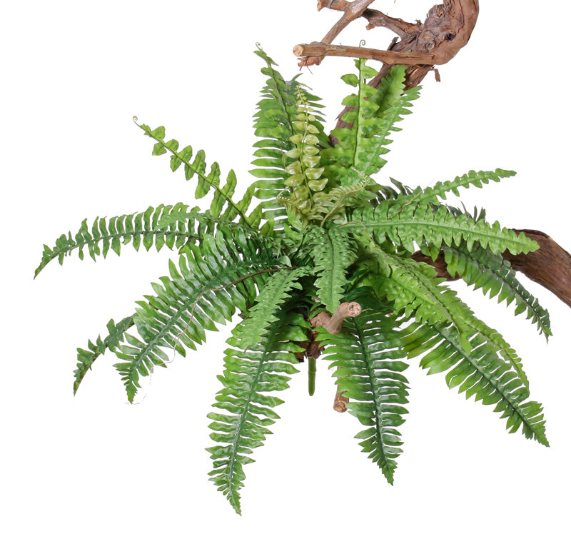Boston Fern (sword), Artificial, 41cm Diameter