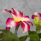 Petunia, Pink, Faux, 40cm