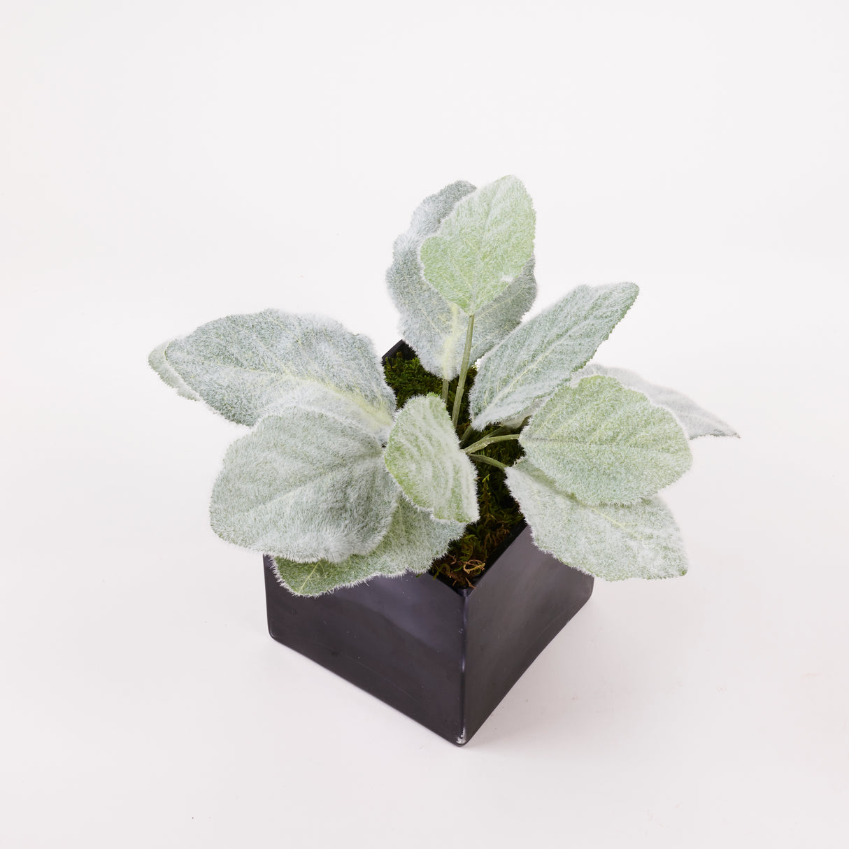 Salvia aregentea (silver sage), Artificial, 25cm