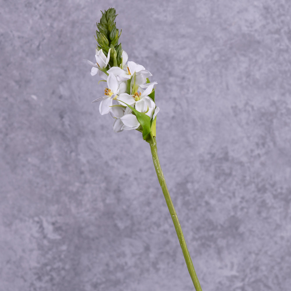 Artificial Ornithogalum (Star-of-Bethlehem), 50cm