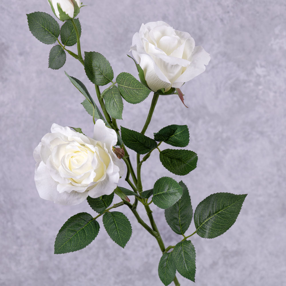 Rose Spray, 'Ever Bloom', White, 75cm, Faux