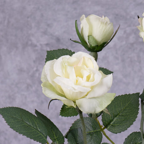 The close up of a faux white rose