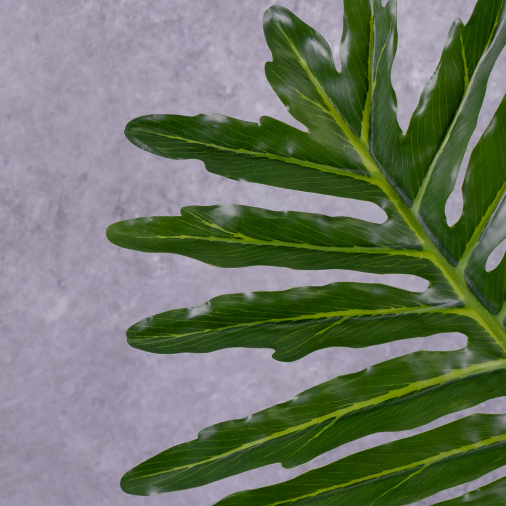 A close up of a faux Philodendron selloum leaf