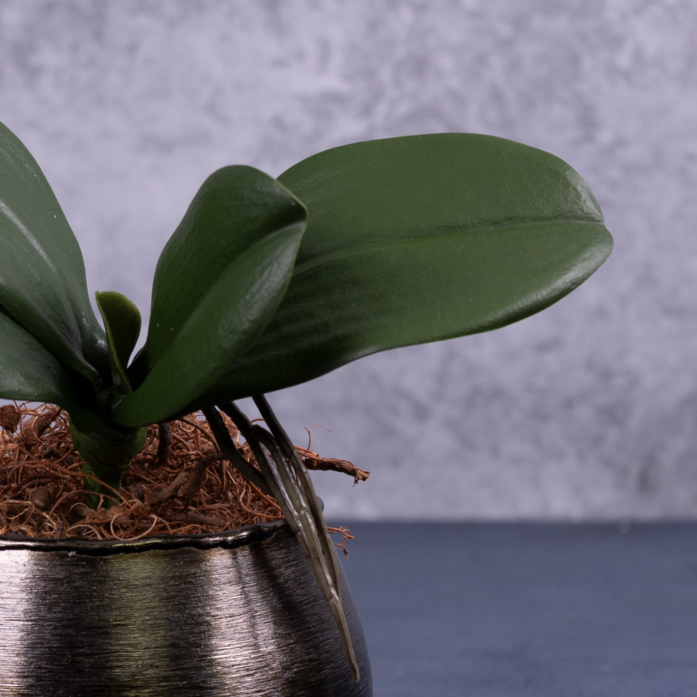 Artificial Orchid Leaves with Roots 22cm
