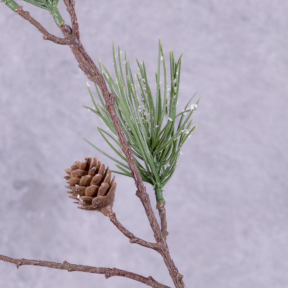 Pine Stem, Frosted, 81cm