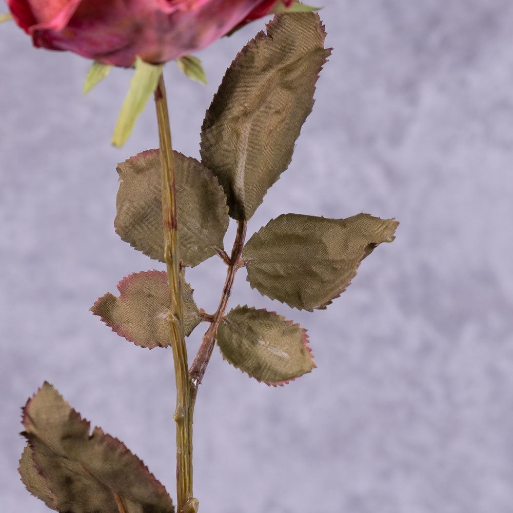 Rose Calista, Garnet Red, 66cm, Faux