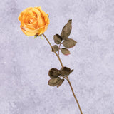 Rose Calista, Orange Creme, 66cm, Faux