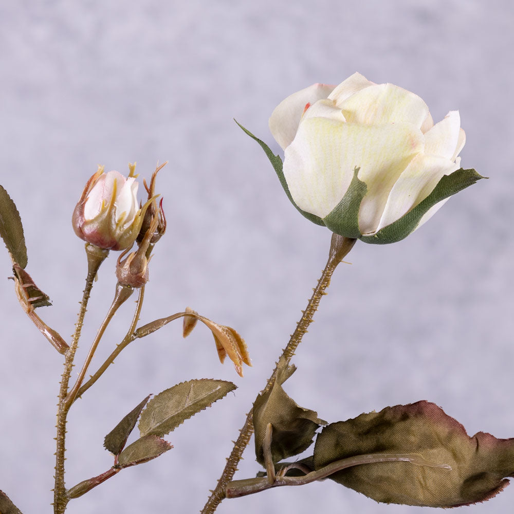 Rose Branch, Edith, Ivory Pink Splash, 76cm, Faux
