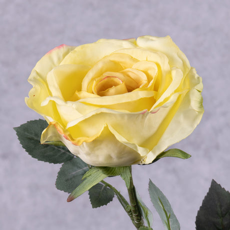 Rose Nova, Yellow, 75cm, Faux