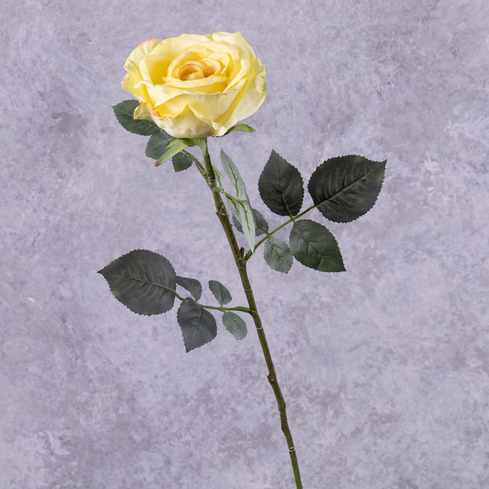Rose Nova, Yellow, 75cm, Faux