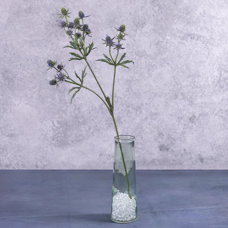 An artificial eryngium stem in a clear glass vase.