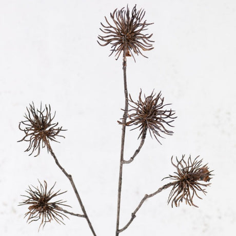 Allium Branch, Wild, Brown, 68cm