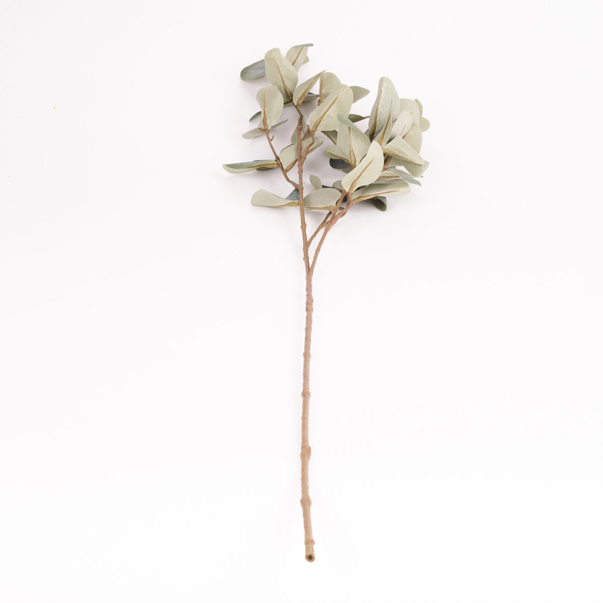 Eucalyptus Branch, Artificial, Green, 81cm